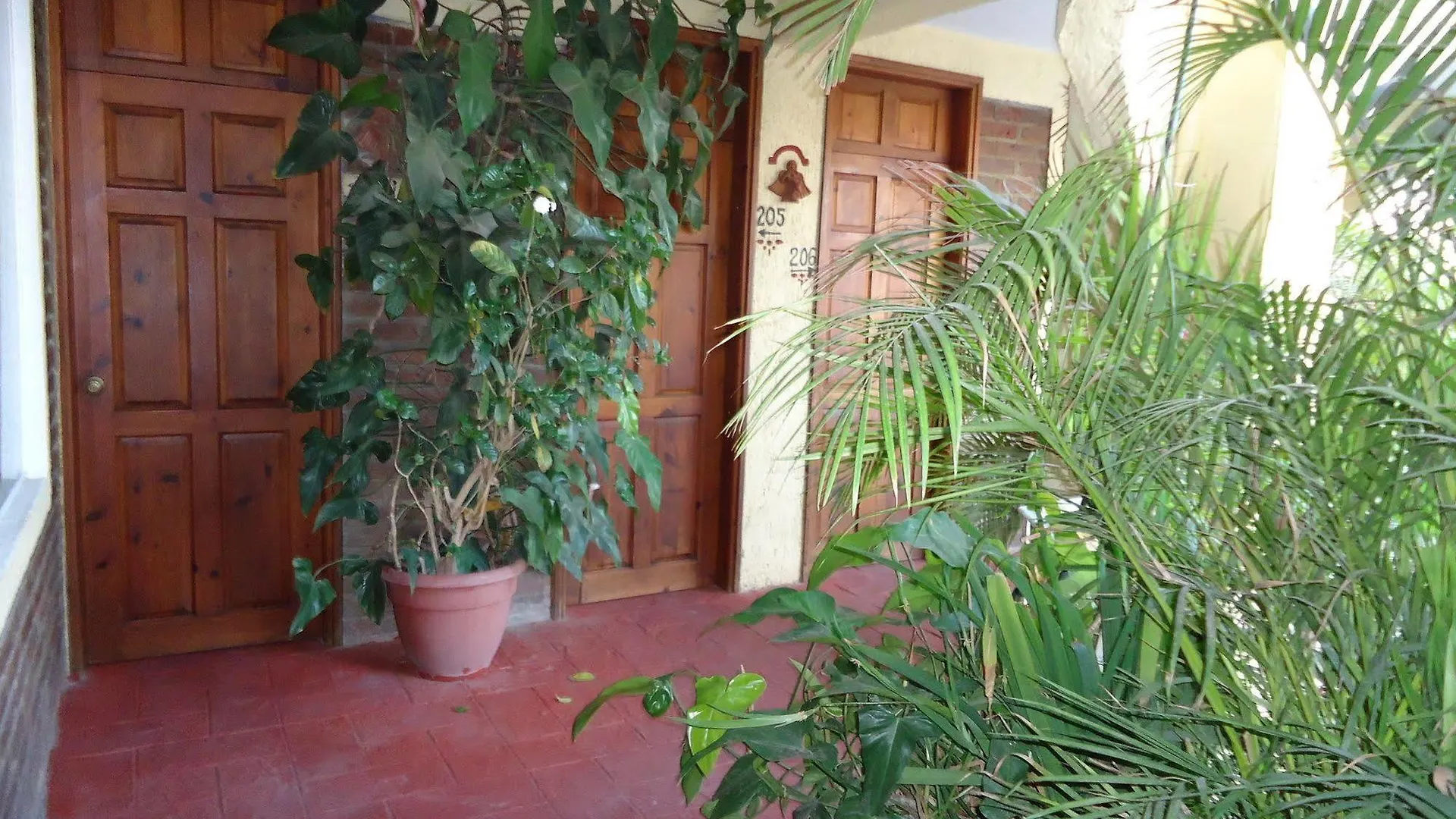 Hotel Baja Cabo Cabo San Lucas Meksyk